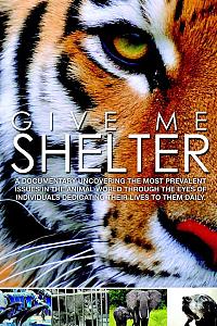 Give Me Shelter