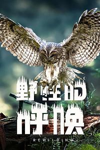 野性的呼唤