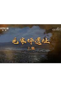 毛家坪遗址
