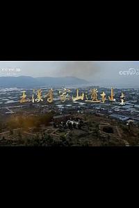玉溪李家山遗址