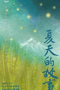 夏天的故事