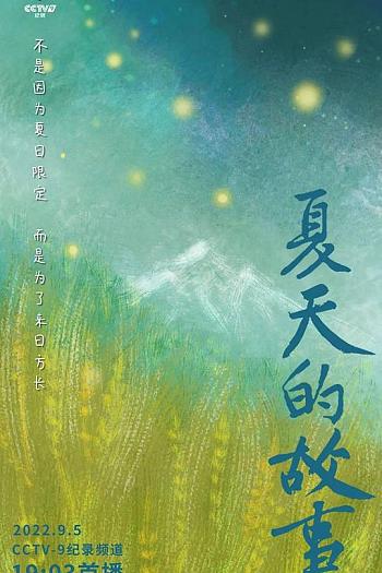 夏天的故事