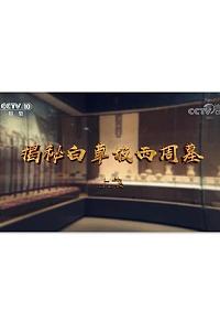揭秘白草坡西周墓