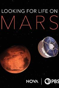 Looking for Life on Mars