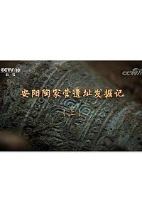 安阳陶家营遗址发掘记