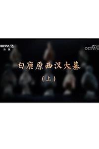白鹿原西汉大墓