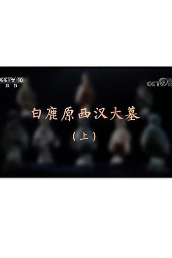 白鹿原西汉大墓