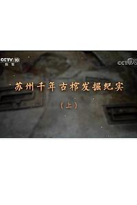 苏州千年古棺发掘纪实