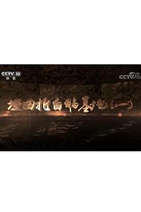 垣曲北白鹅墓地