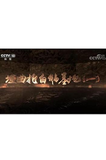 垣曲北白鹅墓地