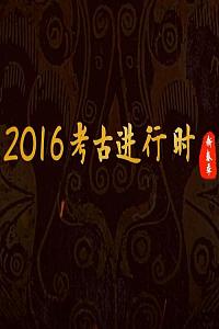 探索发现：2016考古进行时