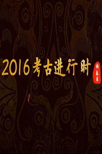 探索发现：2016考古进行时