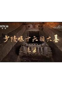 少陵塬十六国大墓