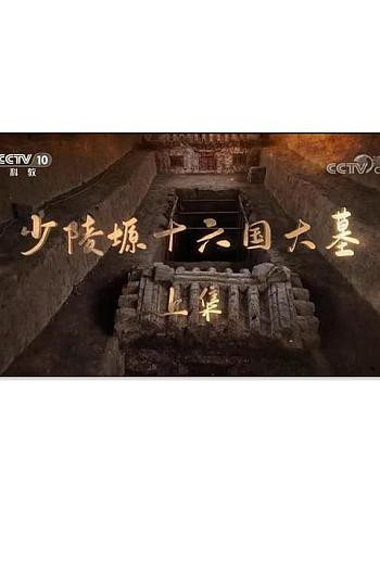 少陵塬十六国大墓