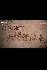 陕西泾阳大堡子汉墓