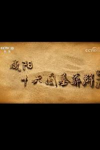 咸阳十六国墓葬群