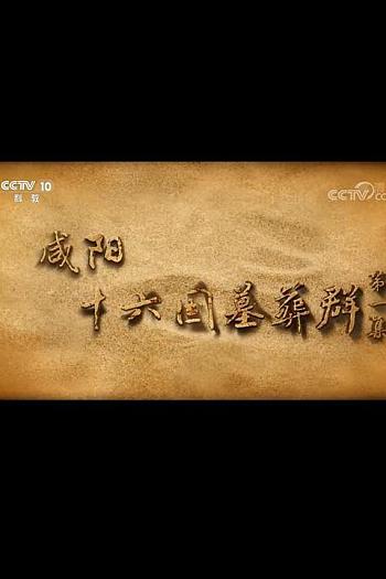咸阳十六国墓葬群