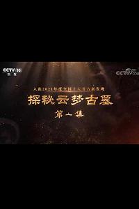 探秘云梦古墓