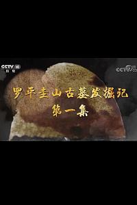 罗平圭山古墓发掘记