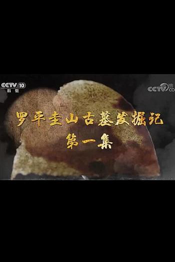 罗平圭山古墓发掘记