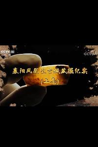 襄阳凤凰咀古城发掘纪实