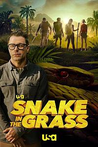 Snake in the Grass Season 1