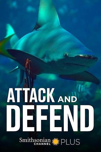 Attack and Defend Season 1