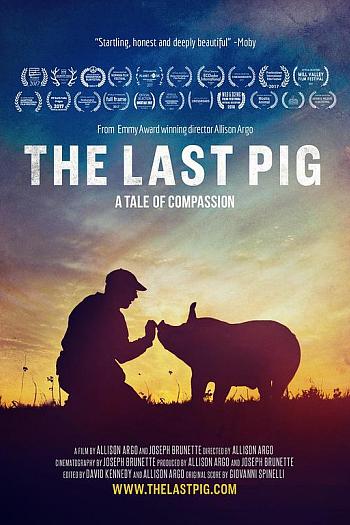 The Last Pig