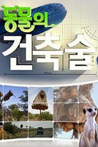 动物建筑师