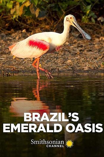Brazil's Emerald Oasis