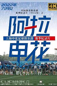 阿拉申花