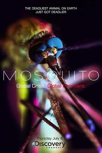 Mosquito