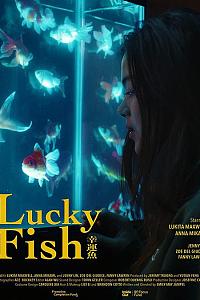 Lucky Fish