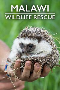 Malawi Wildlife Rescue Season 1