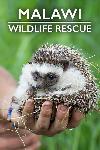 Malawi Wildlife Rescue Season 1