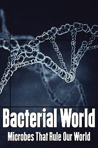 Bacterial World