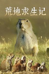 荒地求生记