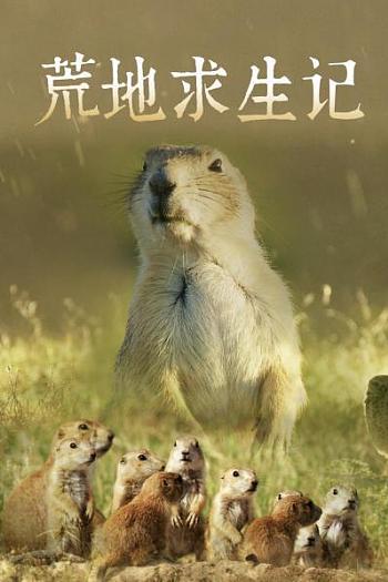 荒地求生记