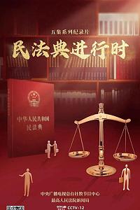 民法典进行时