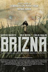 Brizna