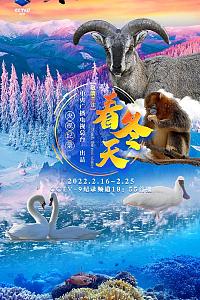 看冬天
