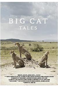 大猫传奇 第一季