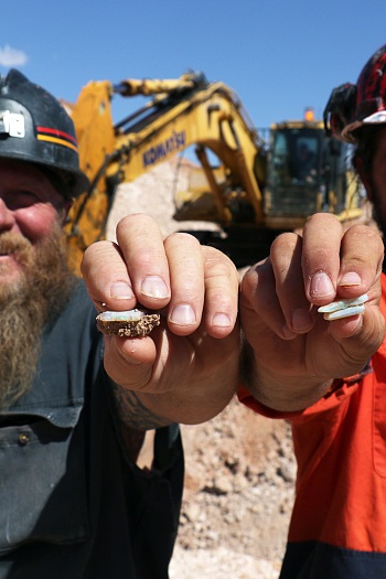 Opal Hunters Red Dirt Road Trip