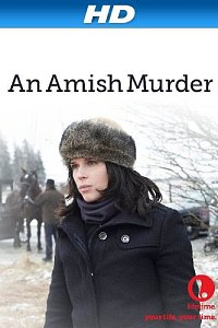 An Amish Murder