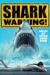 Shark Warning