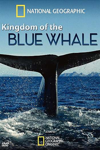 Kingdom of the Blue Whale