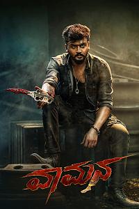 Vaamana