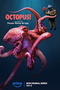 Octopus!