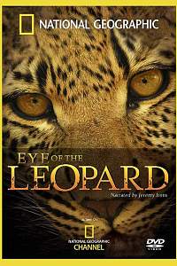 Eye of the Leopard