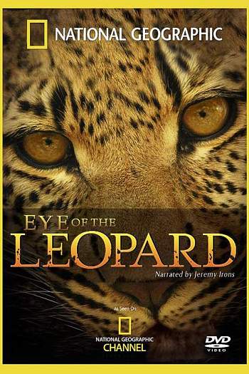 Eye of the Leopard
